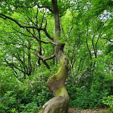 La Griotte 2 & Spa&piscine Couette-café