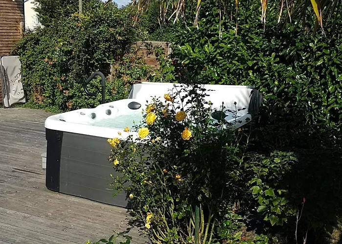 La Griotte 2 & Spa&piscine