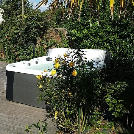 La Griotte 2&spa&piscine