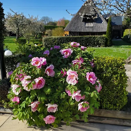 La Griotte 2 & Spa&piscine 3* Pennedepie