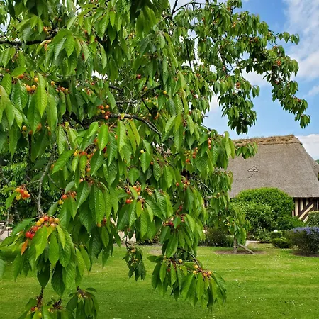 Bed & Breakfast La Griotte 2 & Spa&piscine