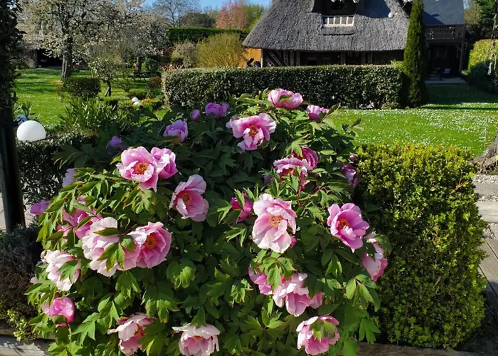 La Griotte 2 & Spa&piscine 3* Pennedepie