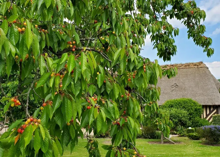 Bed & Breakfast La Griotte 2 & Spa&piscine