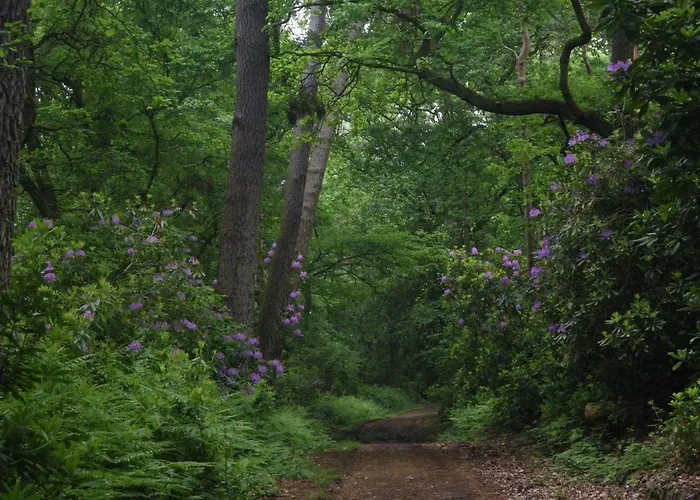 La Griotte 2 & Spa&piscine Pennedepie